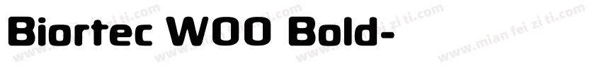 Biortec W00 Bold字体转换